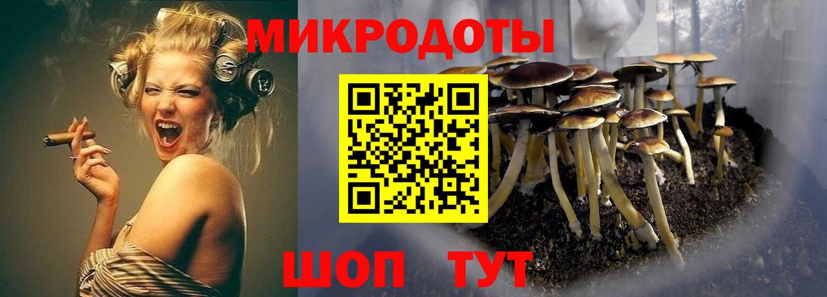 Псилоцибиновые грибы прущие грибы  Вход с VPN  Назрань  Галлюциногенные грибы Magic Shrooms 